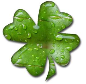 shamrock