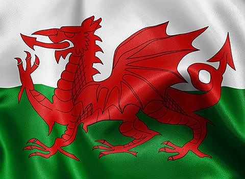 welsh dragon.jpg