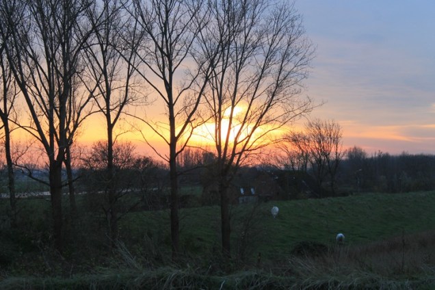 helpende handen 2013e.jpg