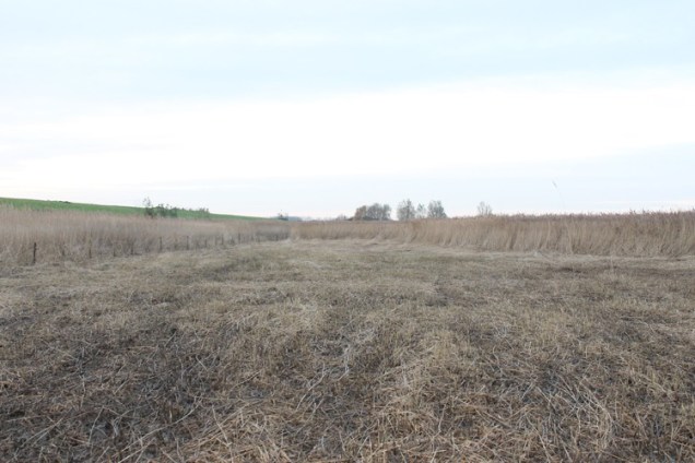 helpende handen 2013c.jpg