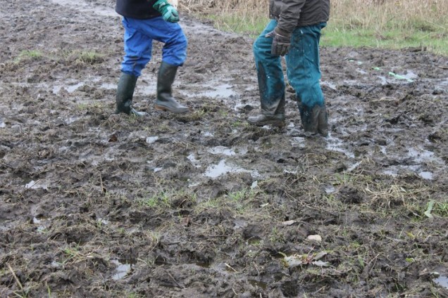 helpende handen 2013d.jpg