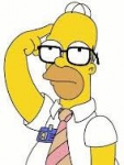 homer thinking.JPG