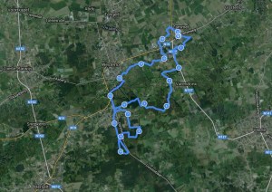 ne flierefluiter.JPG