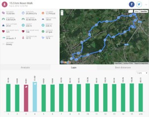 wandelen 20160206b.JPG