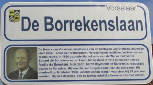 De borrekenslaan.JPG