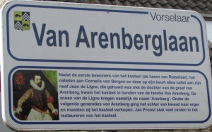 Van Arenberglaan.JPG